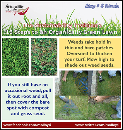 Weeds Control Without Poisons Pdf To Jpg